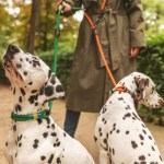 Riemen die ook om het middel kunnen worden gedragen.