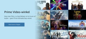 Affiliate link Amazon