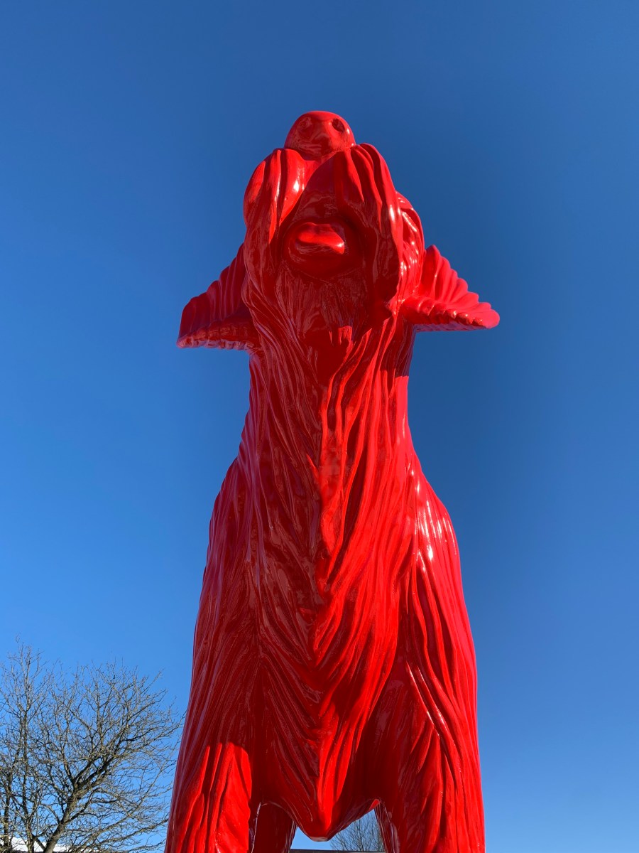 DE 40 LEUKSTE TECKEL NAMEN TECKEL BAAS visual data 5