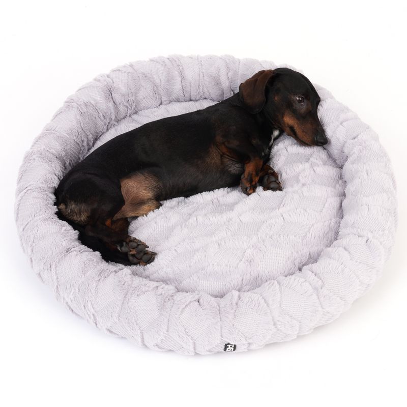 Een teckel ligt ontspannen in een ronde, zachte hondenmand met een grijze pluche bekleding.