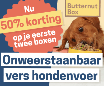 Advertentie voor Butternut Box met een hond die geniet van vers hondenvoer en een aanbieding van 50% korting op de eerste twee boxen.