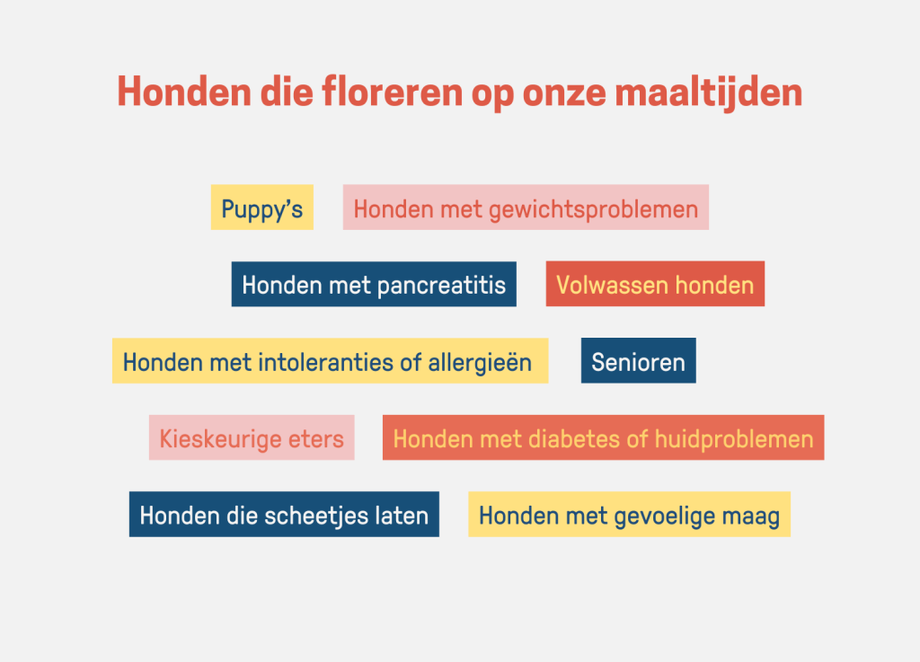 Een grafische afbeelding met de tekst "Honden die floreren op onze maaltijden" in combinatie met verschillende categorieën honden, zoals puppy's, honden met gewichtsproblemen, en honden met pancreatitis, elk weergegeven in kleurrijke tekstvakken. Butternut box